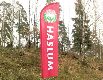 Haslum